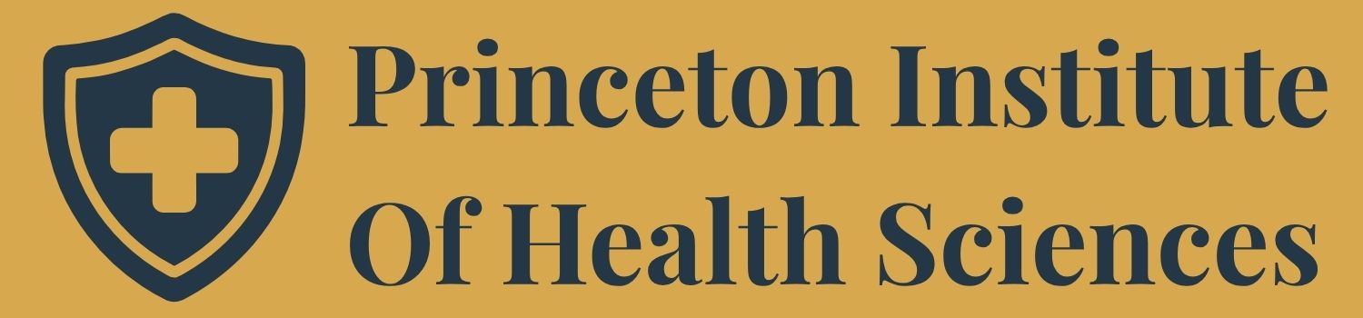 PRINCETON INSTITUTE logo (1)